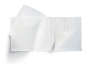 A white sheet of paper on a white background.