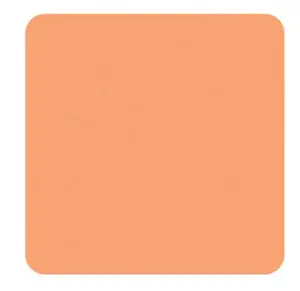 An orange square on a white background.