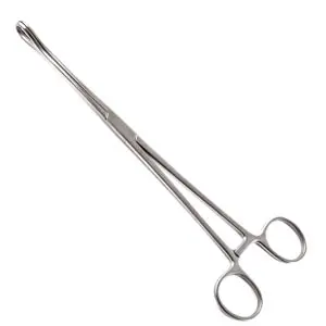 A pair of surgical scissors on a white background.